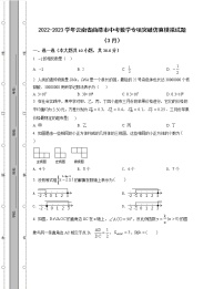 2022-2023学年云南省曲靖市中考数学专项突破仿真模拟试题（3月4月）含解析