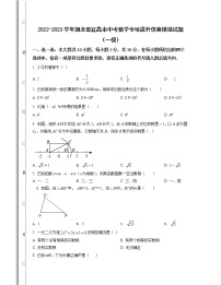 2022-2023学年湖北省宜昌市中考数学专项提升仿真模拟试题（一模二模）含解析