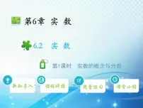 初中沪科版6.2 实数教学课件ppt
