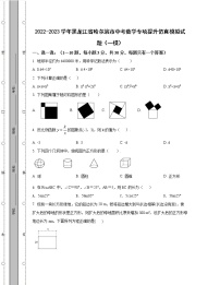 2022-2023学年黑龙江省哈尔滨市中考数学专项提升仿真模拟试题（一模二模）含解析