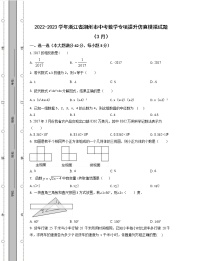 2022-2023学年浙江省湖州市中考数学专项提升仿真模拟试题（3月4月）含解析