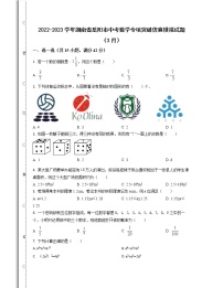 2022-2023学年湖南省岳阳市中考数学专项突破仿真模拟试题（3月4月）含解析