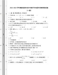 2022-2023学年湖南省岳阳市中考数学专项提升仿真模拟试题（一模二模）含解析