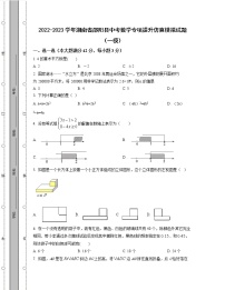 2022-2023学年湖南省邵阳县中考数学专项提升仿真模拟试题（一模二模）含解析