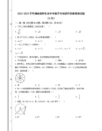 2022-2023学年湖南省怀化市中考数学专项提升仿真模拟试题（3月4月）含解析