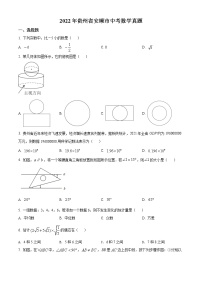 初中数学中考复习 精品解析：2022年贵州省安顺市中考数学真题（原卷版）