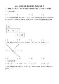 初中数学中考复习 精品解析：2022年河南省中考数学真题（原卷版）