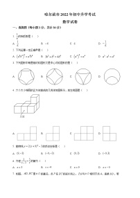 初中数学中考复习 精品解析：2022年黑龙江省哈尔滨市中考数学真题（原卷版）