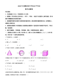 初中数学中考复习 精品解析：安徽省2020年中考数学试题（原卷版）