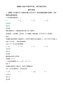 初中数学中考复习 精品解析：甘肃省武威市2020年中考数学试题（解析版）