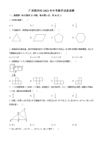 初中数学中考复习 精品解析：广西梧州市2021年中考数学试卷真题（原卷版）