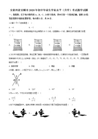 初中数学中考复习 精品解析：贵州省安顺市2020年初中毕业生学业水平（升学）考试数学试题（原卷版）