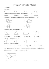 初中数学中考复习 精品解析：贵州省毕节市2020年中考数学试题（原卷版）