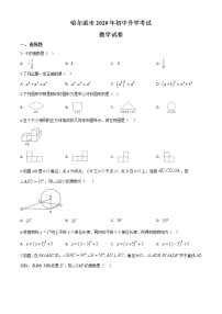 初中数学中考复习 精品解析：黑龙江省哈尔滨市2020年中考数学试题（原卷版）