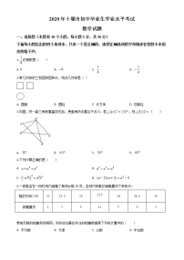 初中数学中考复习 精品解析：湖北省十堰市2020年中考数学试题（原卷版）