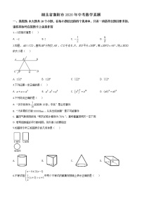 初中数学中考复习 精品解析：湖北省襄阳市2020年中考数学试题（原卷版）