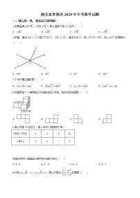 初中数学中考复习 精品解析：湖北省孝感市2020年中考数学试题（原卷版）