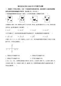 初中数学中考复习 精品解析：湖北省宜昌市2020年中考数学试题（原卷版）