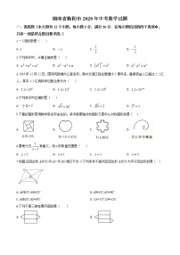 初中数学中考复习 精品解析：湖南省衡阳市2020年中考数学试题（原卷版）