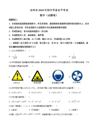 初中数学中考复习 精品解析：湖南省永州市2020年中考数学试题（原卷版）