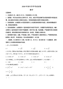 初中数学中考复习 精品解析：内蒙古包头市2020年中考数学试题（原卷版）