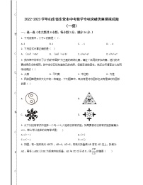 2022-2023学年山东省东营市中考数学专项突破仿真模拟试题（一模二模）含解析