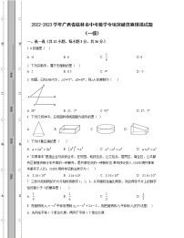 2022-2023学年广西省桂林市中考数学专项突破仿真模拟试题（一模二模）含解析