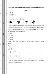 2022-2023学年湖北省随州市中考数学专项突破仿真模拟试题（一模二模）含解析