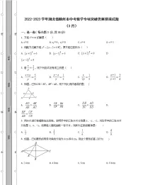 2022-2023学年湖北省随州市中考数学专项突破仿真模拟试题（3月4月）含解析