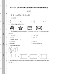 2022-2023学年湖北省黄石市中考数学专项提升仿真模拟试题（3月4月）含解析