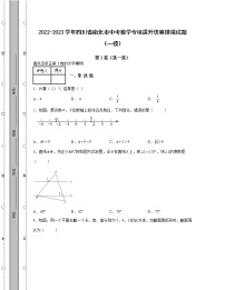 2022-2023学年四川省南充市中考数学专项提升仿真模拟试题（一模二模）含解析