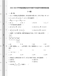 2022-2023学年海南省临高县中考数学专项提升仿真模拟试题（一模二模）含解析