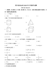 初中数学中考复习 精品解析：四川省凉山州2020年中考数学试题（原卷版）