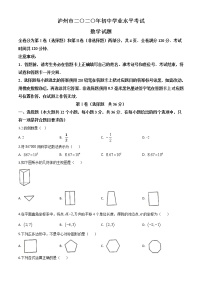 初中数学中考复习 精品解析：四川省泸州市2020年中考数学真题（原卷版）