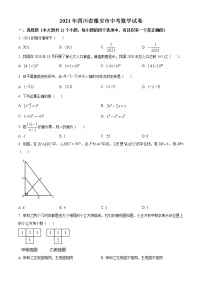 初中数学中考复习 精品解析：四川省雅安市2021年中考数学真题（原卷版）