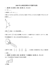 初中数学中考复习 精品解析：云南省昆明市2020年中考数学试题（原卷版）