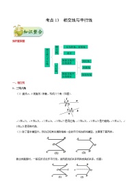 初中数学中考复习 考点13 相交线与平行线-中考数学考点一遍过