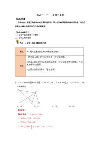 初中数学中考复习 考点22 全等三角形（解析版）