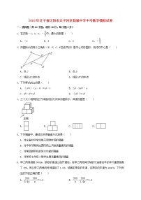 初中数学中考复习 辽宁省辽阳市太子河区新城中学2019年中考数学模拟试卷（含解析）