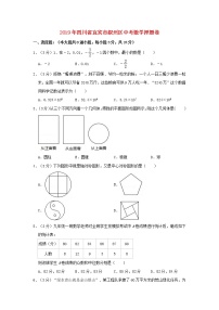 初中数学中考复习 四川省宜宾市叙州区2019年中考数学押题卷（含解析）