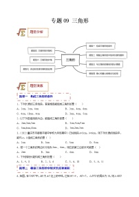 专题09 三角形（题型归纳）-备战 中考数学一轮复习精品课件与题型归纳专练（全国通用）