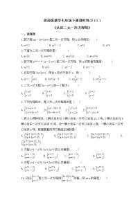 初中10.1 认识二元一次方程组优秀达标测试