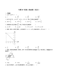 专题05 锐角三角函数（重点）-2022-2023学年九年级数学下册期中期末挑战满分冲刺卷（苏科版，江苏专用）