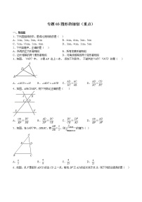 专题03 图形的相似（重点）-2022-2023学年九年级数学下册期中期末挑战满分冲刺卷（苏科版，江苏专用）