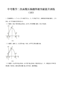 最新中考数学二次函数压轴300题终极突破提升训练（10）