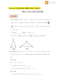 专题31三角形与新定义综合问题-挑战2023年中考数学压轴题之学霸秘笈大揭秘（原卷版+解析版）（全国通用）