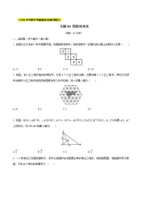 初中数学中考复习 专题03 图形的变化（原卷版）