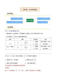 初中数学中考复习 专题09  反比例函数【考点精讲】（解析版）