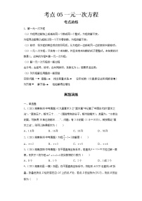 2022-2023 数学华师大版新中考精讲精练 考点05一元一次方程