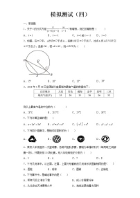 2022-2023 数学华师大版新中考精讲精练 模拟测试（四）